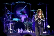 Crazy Drummer
